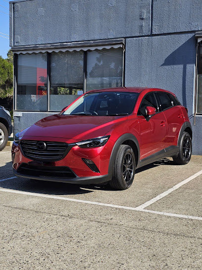 Platinum Paint Protection