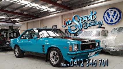 Mr.Spot Detailing